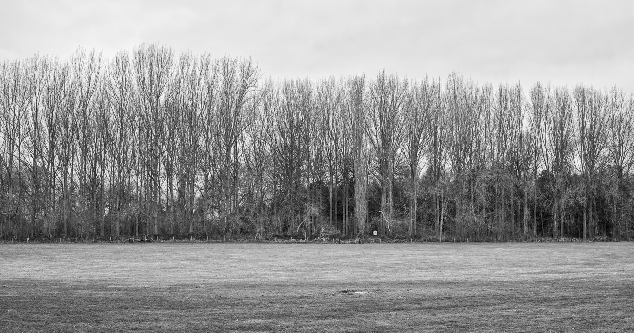 Park Plantation